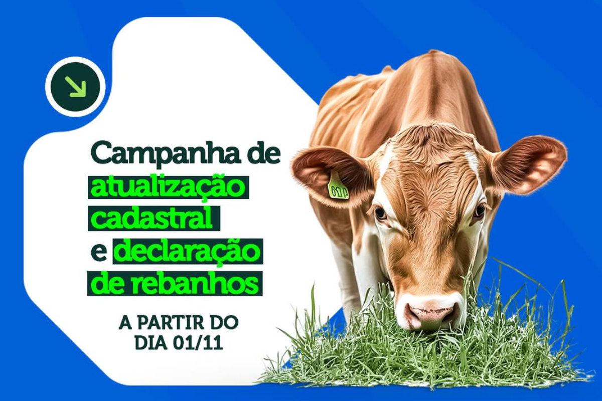 São José da Lagoa Tapada inicia Campanha de Atualização Cadastral e Declaração de Rebanho 2025